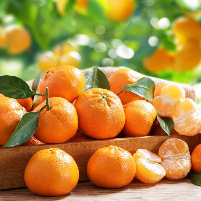 Mandarin
