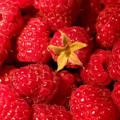 Raspberry